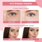 Corrector palette